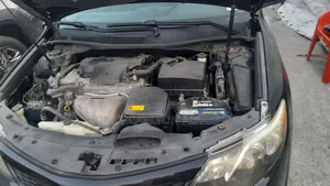 Toyota Camry XLE 4dr Sedan (2.5L 4cyl 6A) 2013 Black