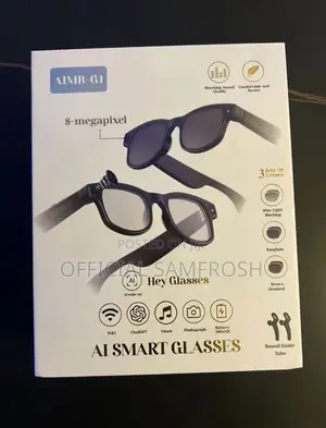 Ai Meta Glasses