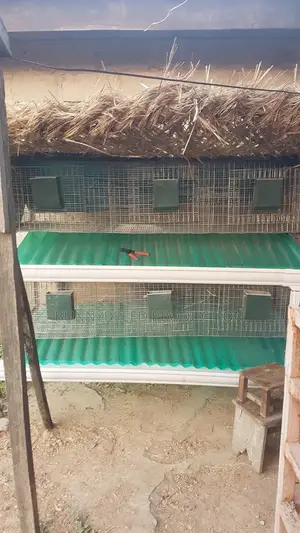 Readymade Poultry And Rabbit Cage