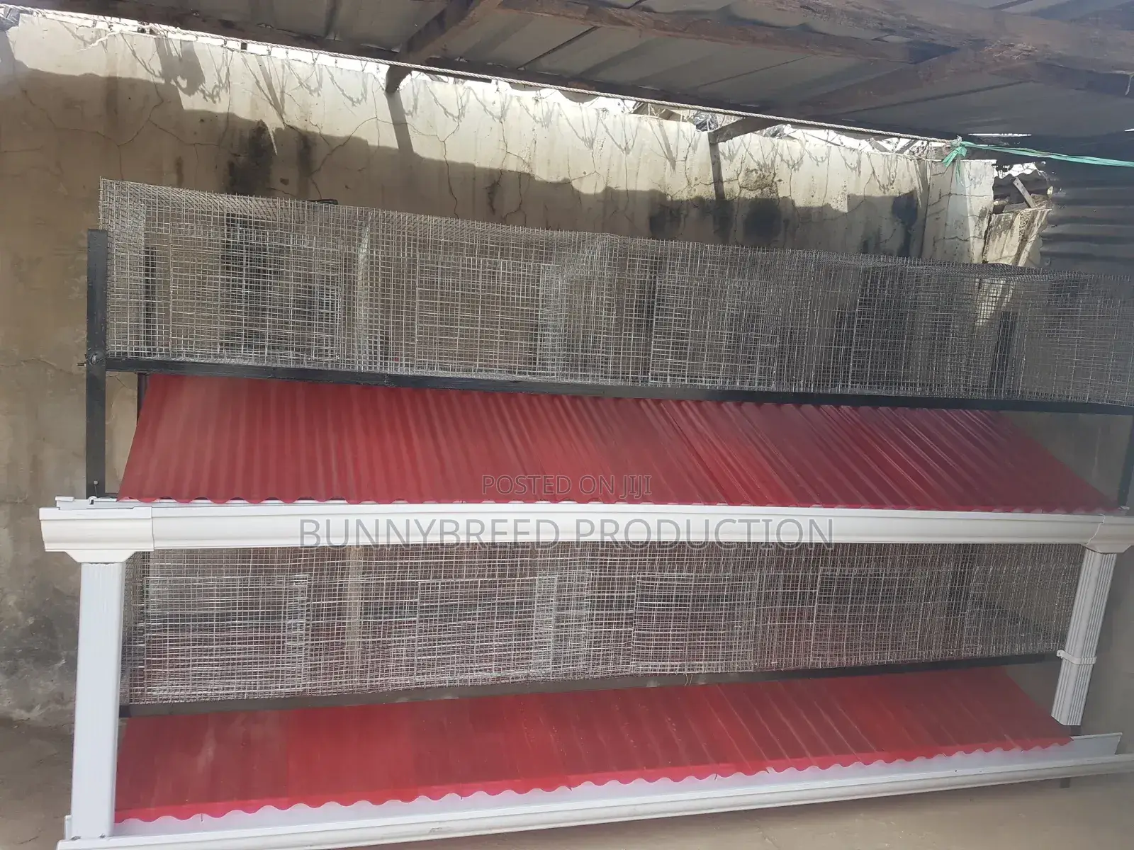 Readymade Poultry And Rabbit Cage