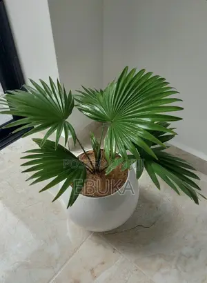 Ball Fiber Glass Pot