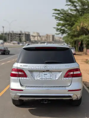 Mercedes-Benz M Class 2014 Silver