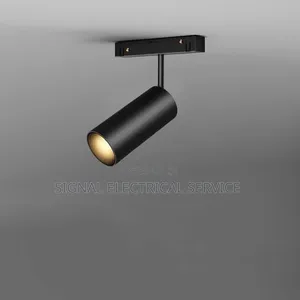 Magnetic Spotlight