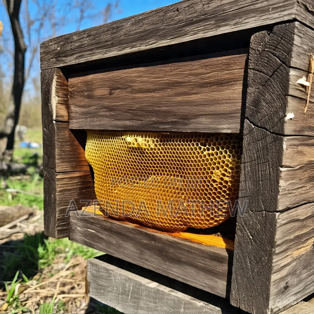 Original Honey