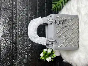Dior Bag Grey, Black, Brown and Pink