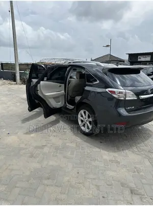Lexus RX 2010 Gray