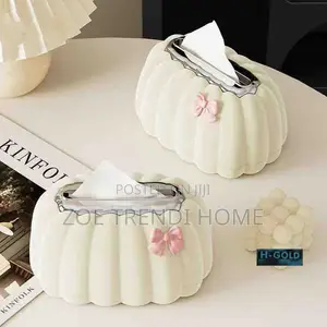 Aesthetic Tissue Box