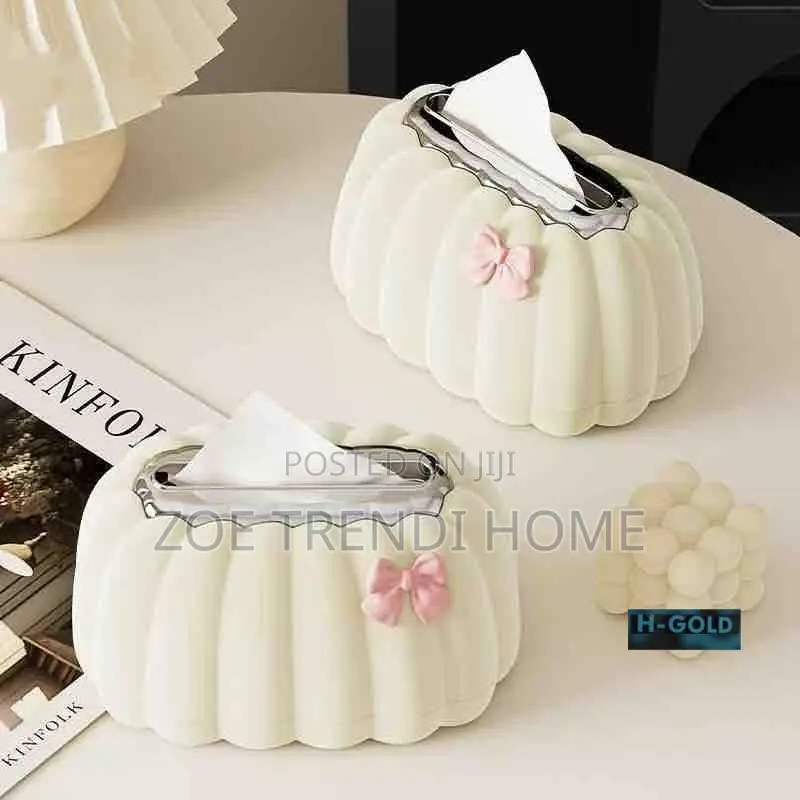 Aesthetic Tissue Box