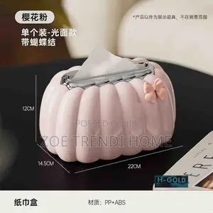 Aesthetic Tissue Box
