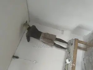 Qualified Painter
