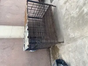 Iron Dog Cage