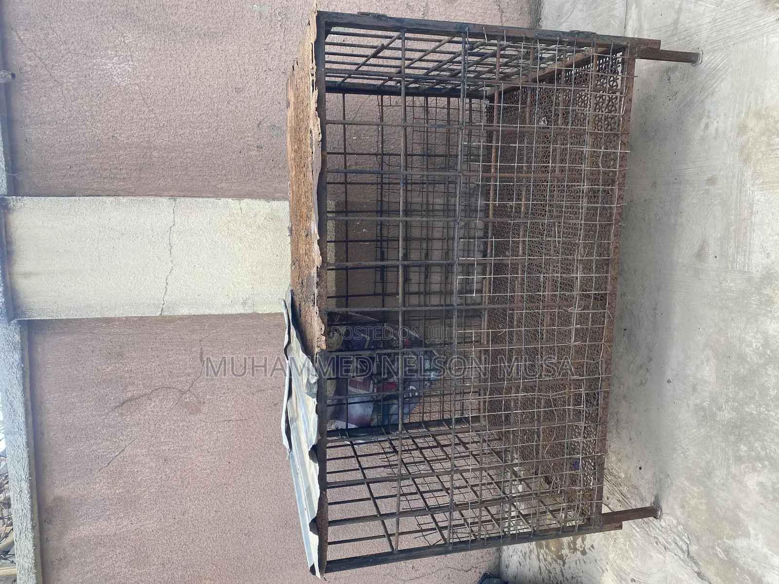Iron Dog Cage