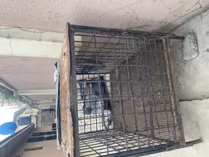 Iron Dog Cage