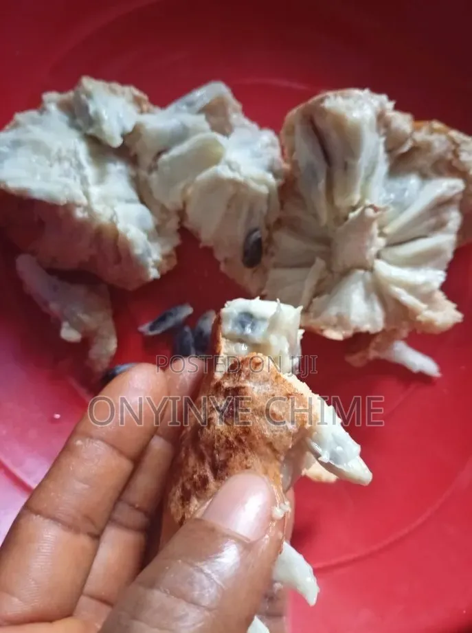 Custard Apple