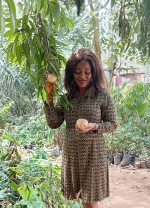 Custard Apple