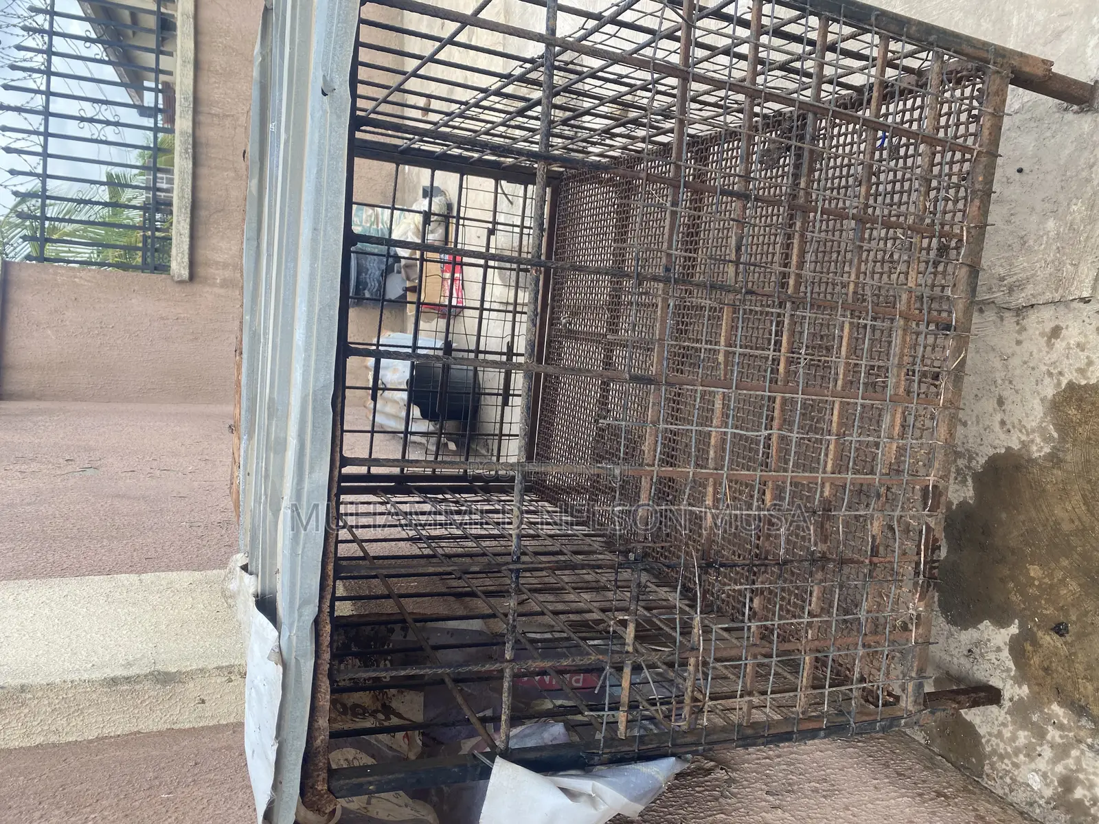 Iron Dog Cage