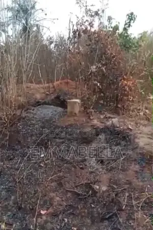 Landed Property