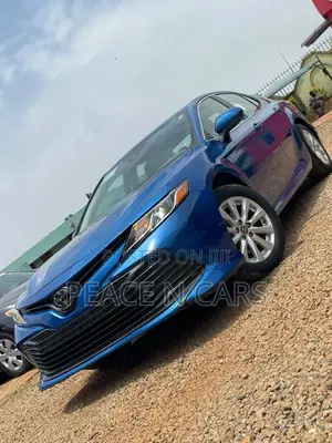 Toyota Camry LE (2.5L 4cyl 8A) 2019 Blue
