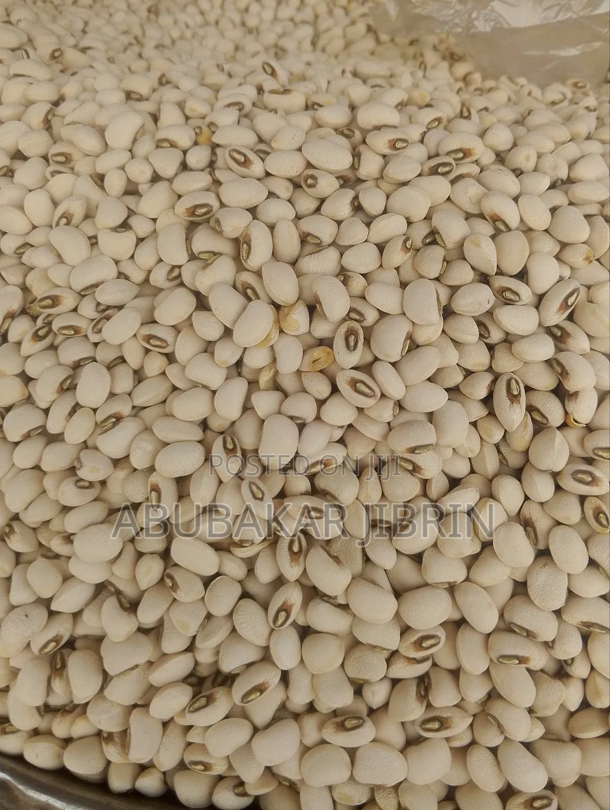 White Beans