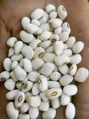 White Beans