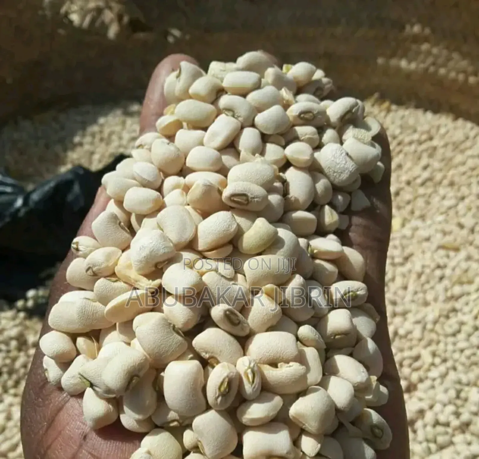 White Beans