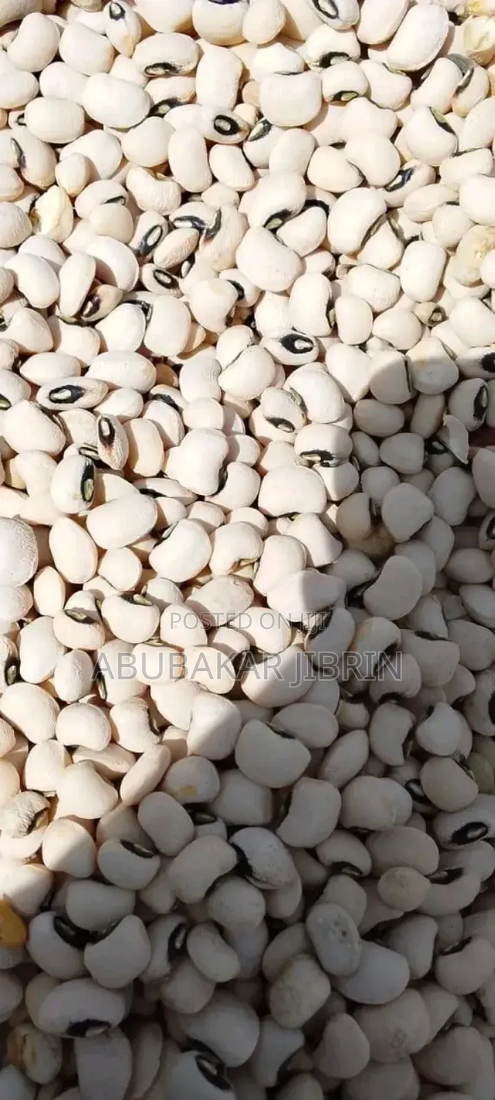 White Beans