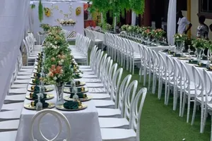 Imported O Back Event Chairs