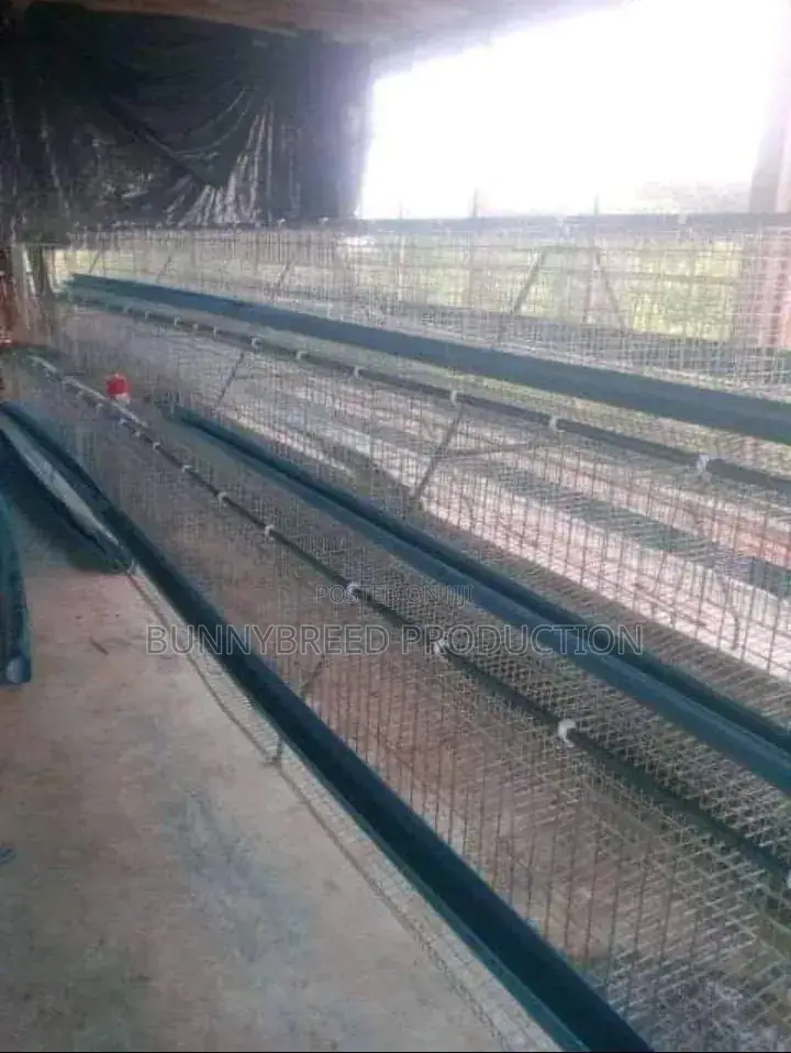 Readymade Poultry And Rabbit Cage