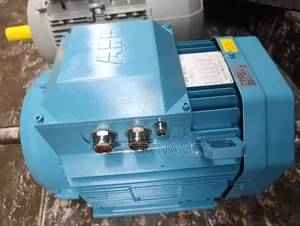 Electric Motor