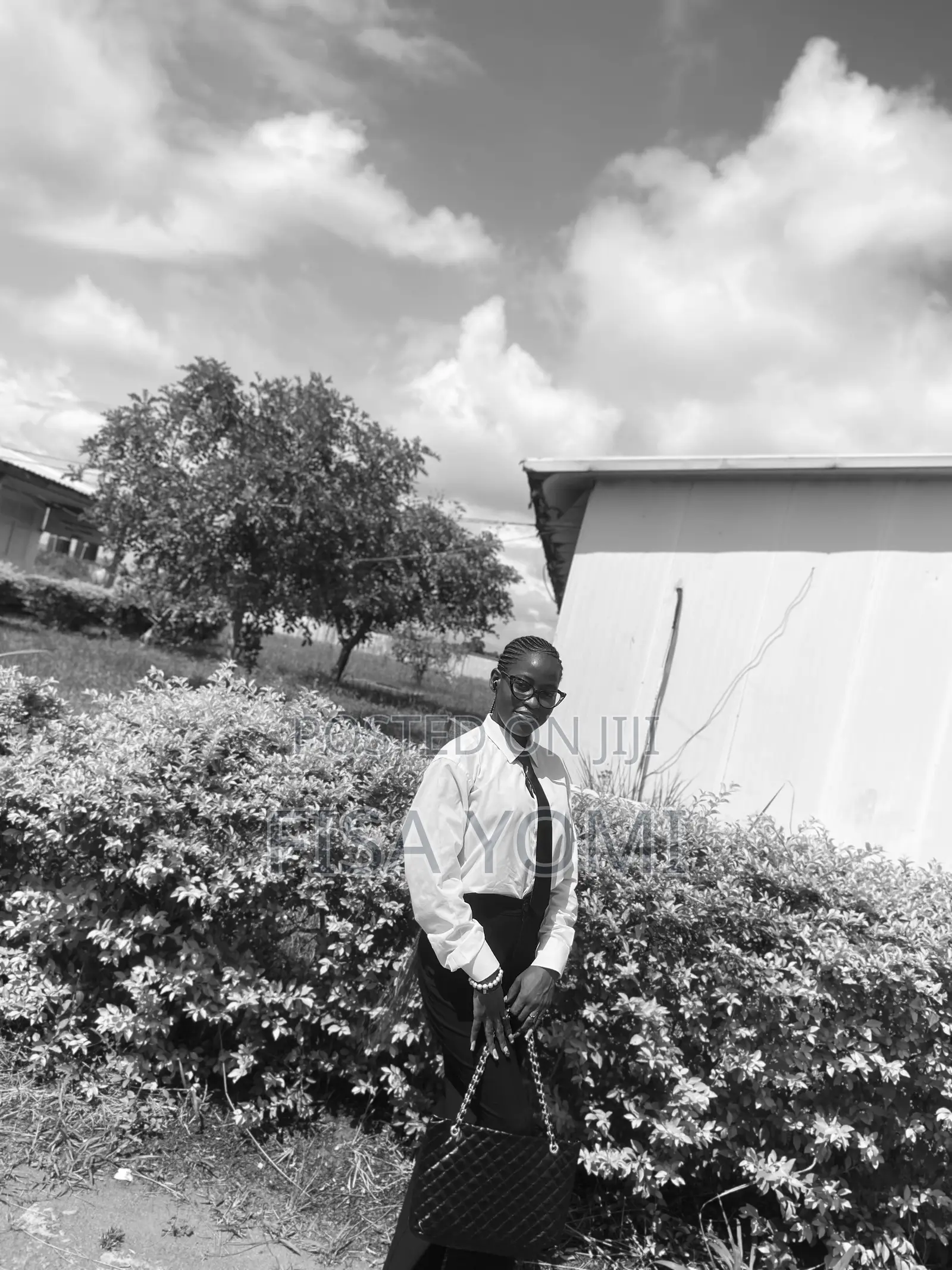 Office Assistant or Secretary