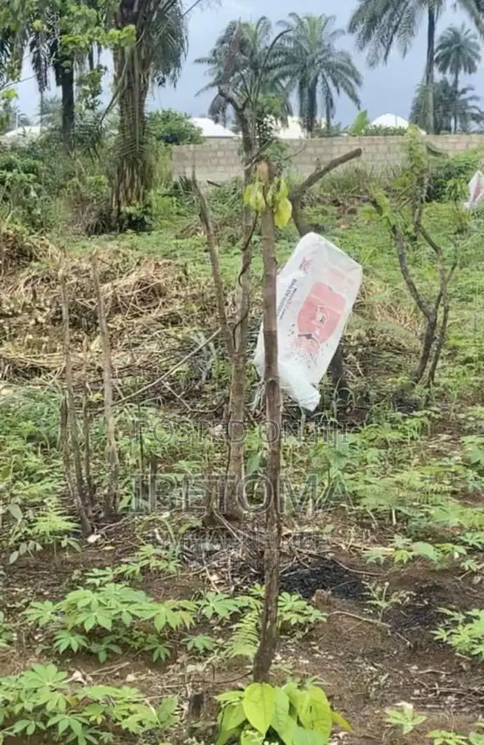 Land Property