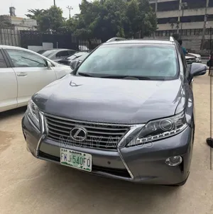 Lexus RX 350 2010 Gray