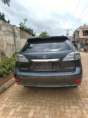 Lexus RX 2010 Gray