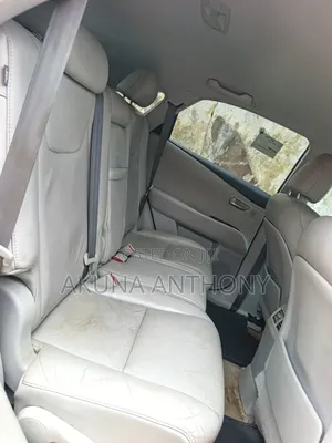 Lexus RX 2010 Gray