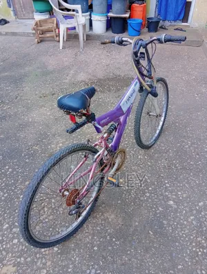 Purple Bicycle