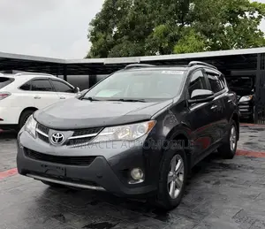 Toyota RAV4 XLE 4dr SUV AWD (2.5L 4cyl 6A) 2014 Gray