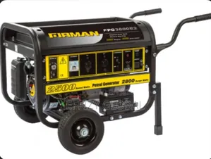 Brand New Firman Fpg3800e2 Petrol Generator.