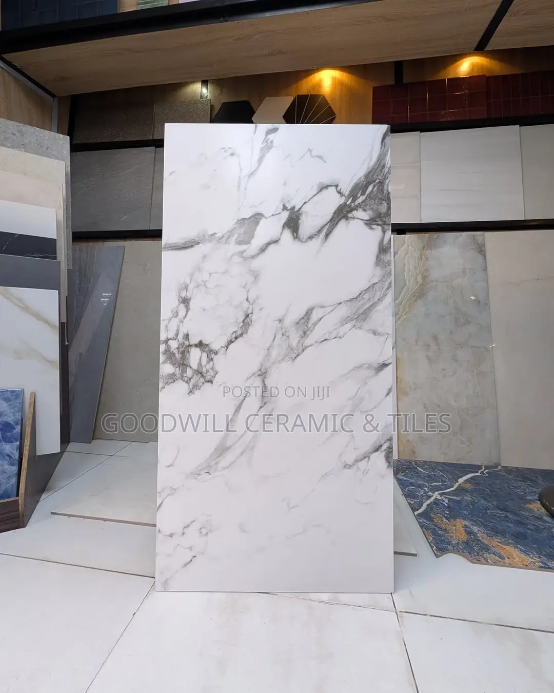 Lada White Porcelain 60x120cm