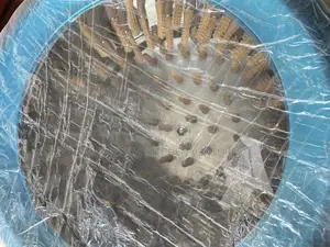Chicken Plucking Machine