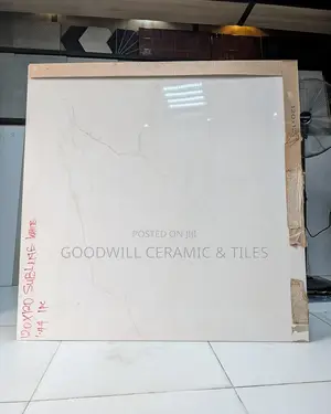 Sublime White Glossy Porcelain 60x60cm