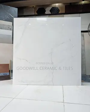 Capital White Porcelain 60x60cm