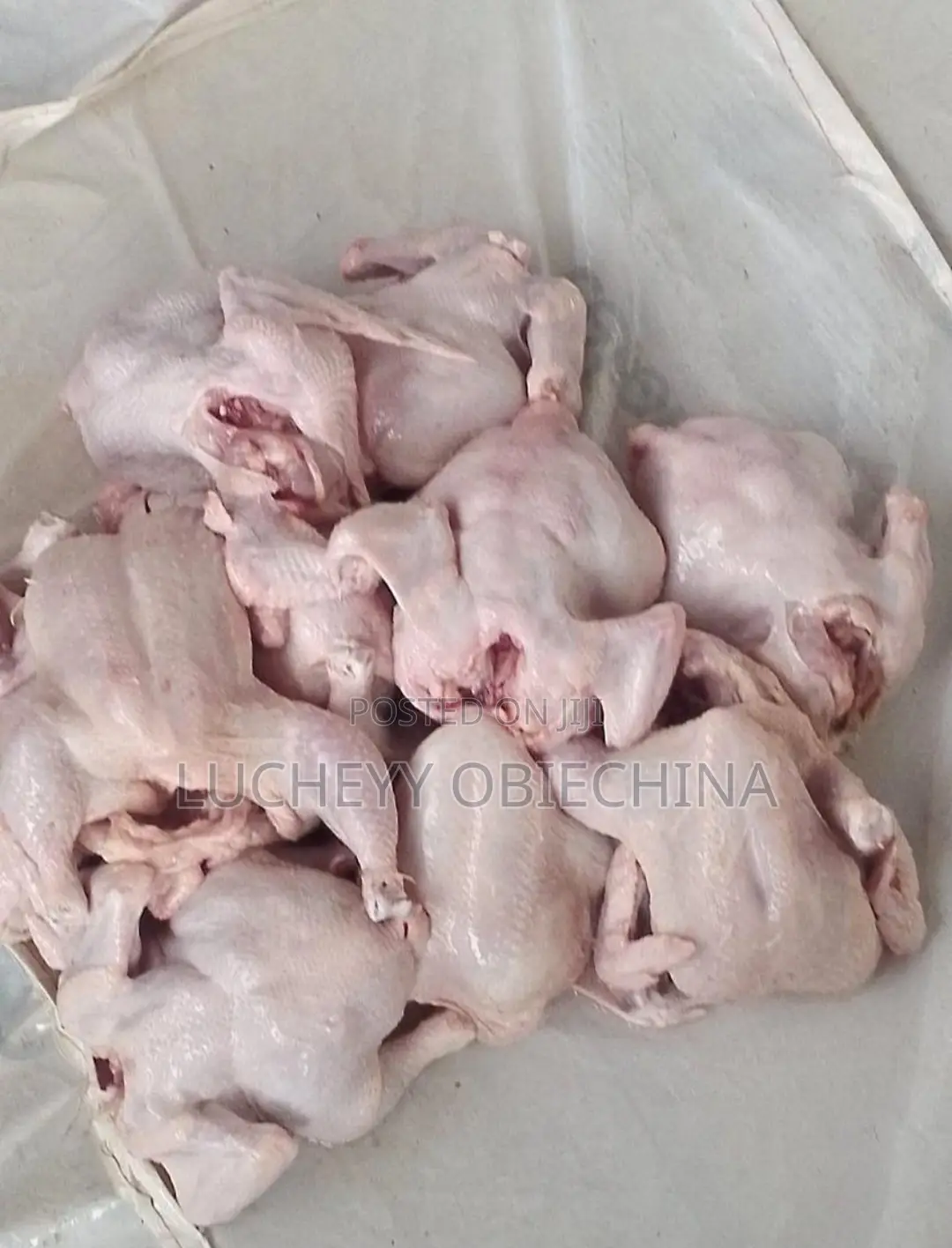 Dressed Chicken Per Kilogram