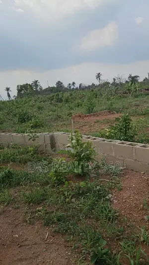 1000 Acres Of Farmland For Sale At Obafe