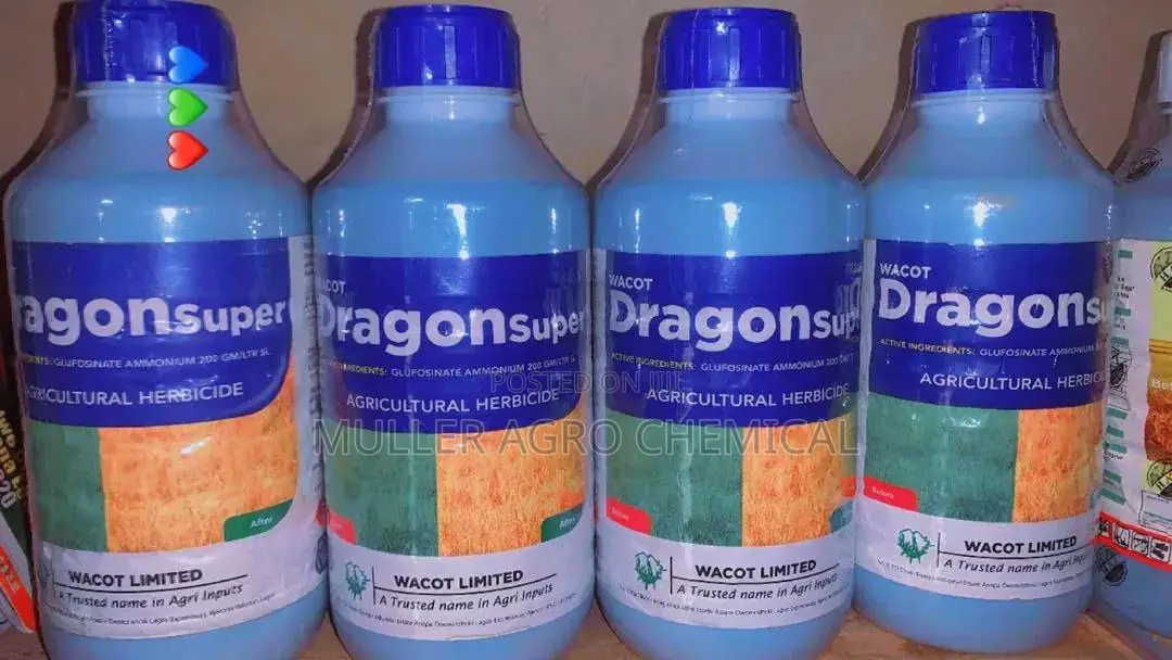 Dragon Super