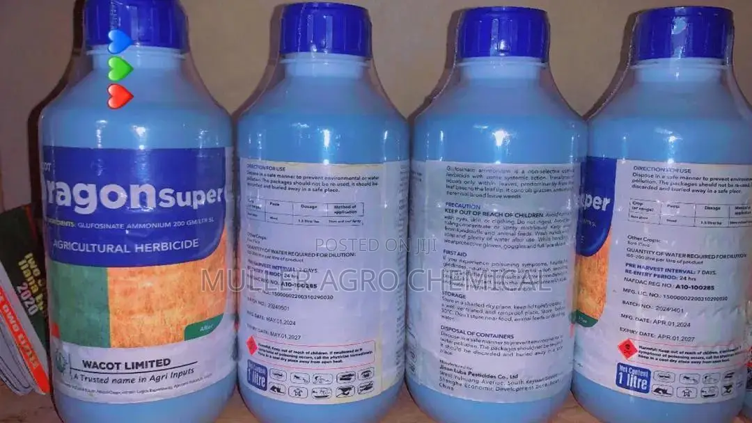 Dragon Super