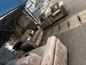 Elegance and Unique Sofa Set