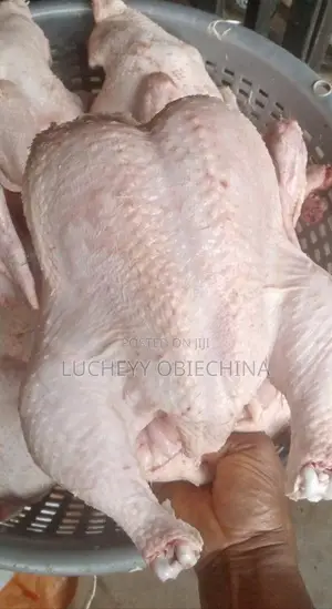 Dressed Chicken Per Kilogram