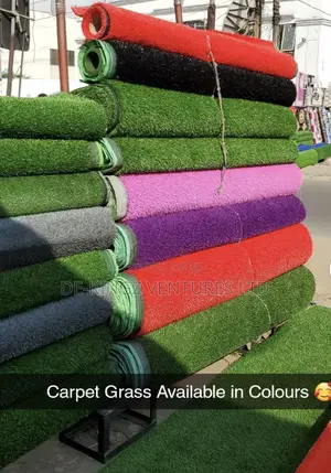 Carpet Grass of All Colors Highest Grade
