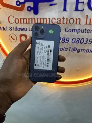 Apple iPhone 12 Pro Max 256 GB Blue