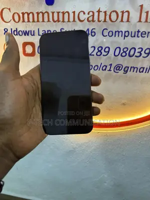 Apple iPhone 12 Pro Max 256 GB Blue
